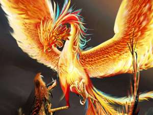 Ave Fenix