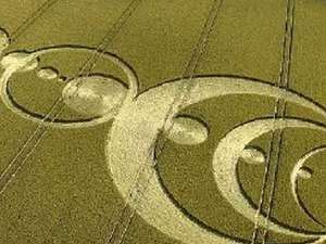 Circulos en los Campos de Trigo