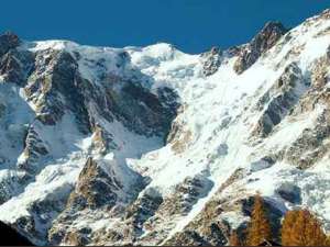 Alpino