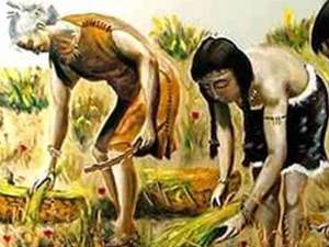 Mujer Sociedad Primitiva