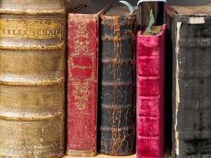 Caracteristicas Derecho