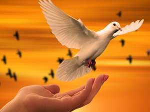 Libertades Individuales