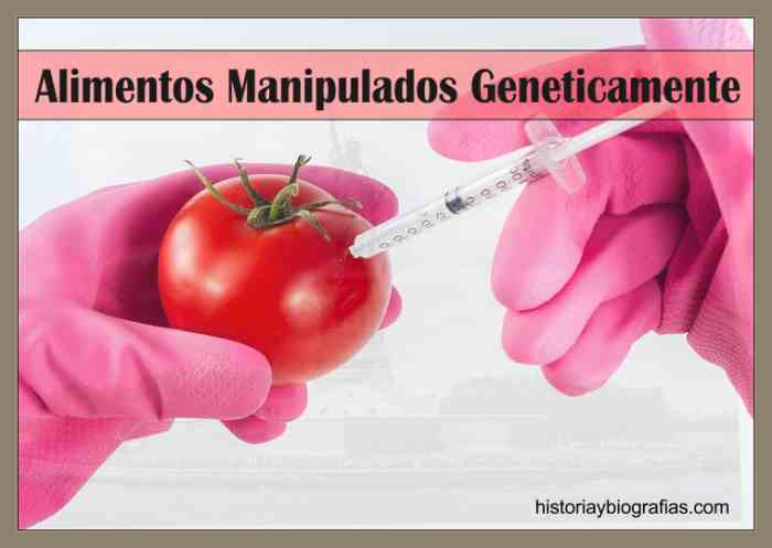Alimentos Transgénicos La Manipulacion Genética de los Alimentos
