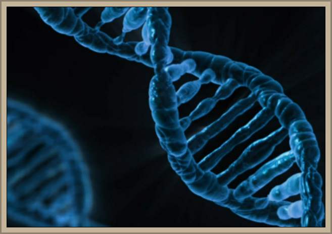 El Origen de la Vida