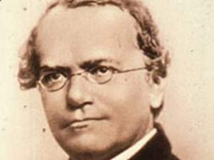 Leyes de Mendel