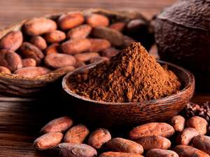 El Cacao