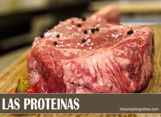 Propiedades de las Proteínas:Concepto y Clasificación