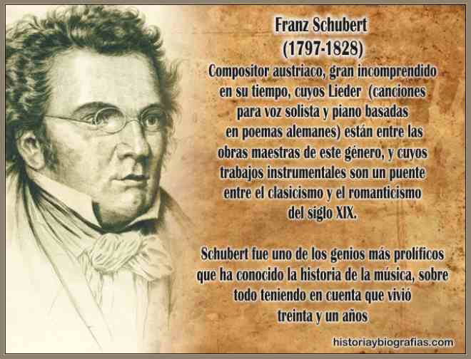 Biografia de Schubert Franz:Resumen Vida del Compositor Aleman