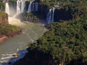 Selva Misionera y Tucumana