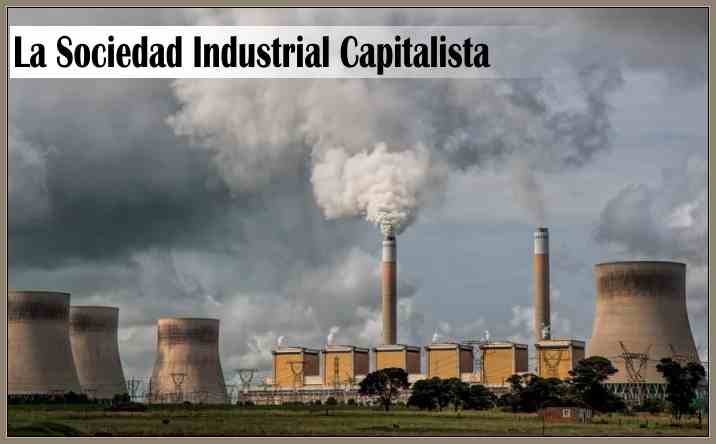 Impacto Ambiental de la Sociedad Industrial-Causas de la Contaminación