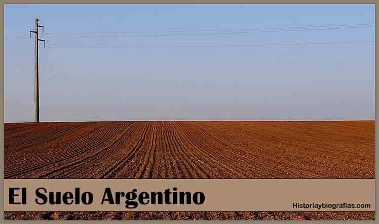 Los Suelos De Argentina; Su Deterioro y La Produccion de Soja 