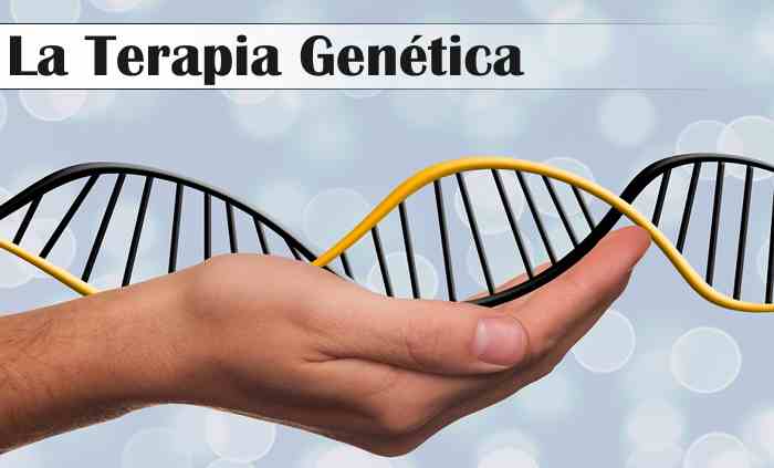 La Terapia Genética:La Manipulación de Genes en Biología Celular