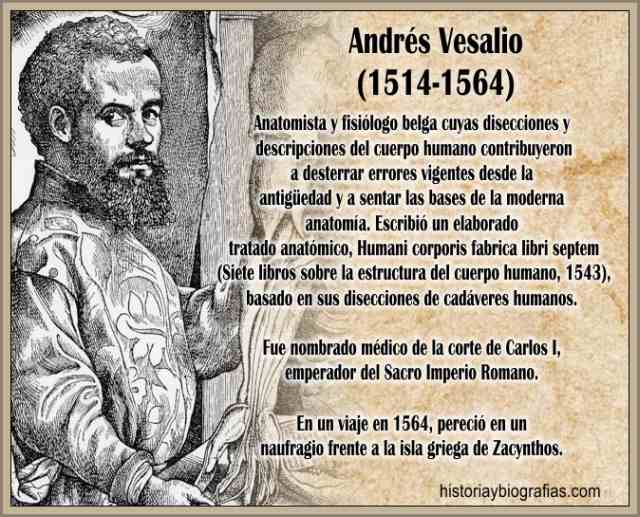 Biografia de Vesalio Andres, Medico:Vida y Obra Cientifica