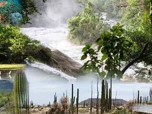 Los Ecosistemas en la Ecologia-Modos de Vida Ecológicos